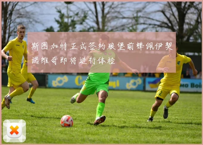 斯图加特正式签约狼堡前锋佩伊契诺维奇即将进行体检