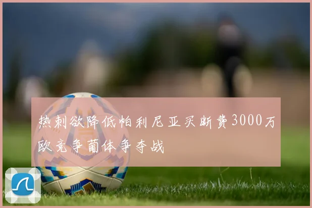 热刺欲降低帕利尼亚买断费3000万欧竞争葡体争夺战
